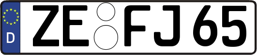 ZE-FJ65