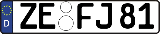 ZE-FJ81
