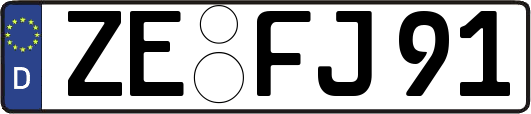 ZE-FJ91