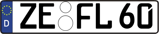 ZE-FL60