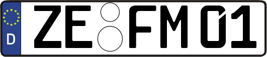 ZE-FM01