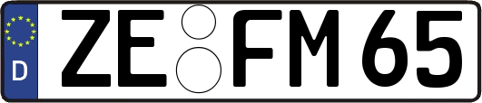 ZE-FM65