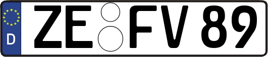 ZE-FV89