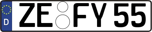 ZE-FY55
