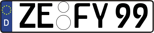 ZE-FY99