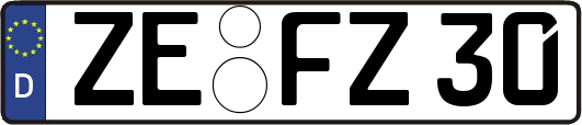 ZE-FZ30