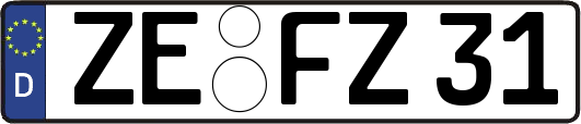 ZE-FZ31