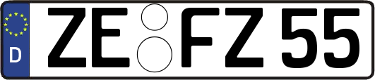 ZE-FZ55
