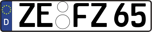 ZE-FZ65