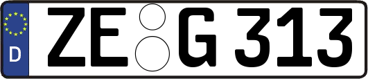 ZE-G313