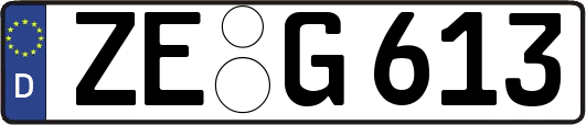 ZE-G613