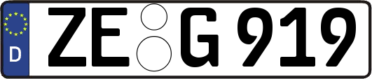 ZE-G919