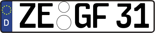 ZE-GF31