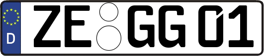 ZE-GG01