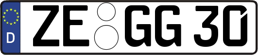 ZE-GG30