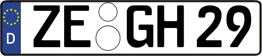 ZE-GH29