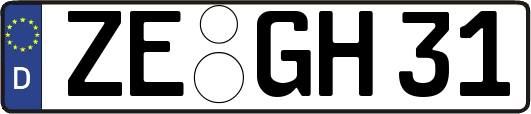 ZE-GH31