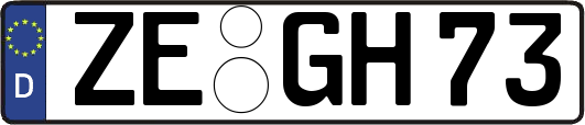 ZE-GH73