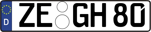 ZE-GH80