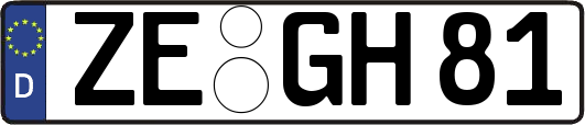 ZE-GH81