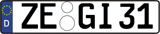 ZE-GI31