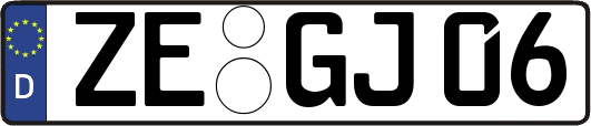 ZE-GJ06
