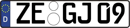 ZE-GJ09