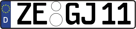 ZE-GJ11