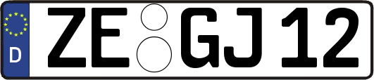 ZE-GJ12
