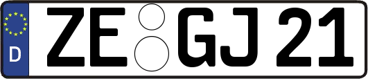 ZE-GJ21