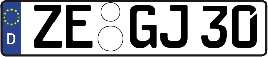 ZE-GJ30