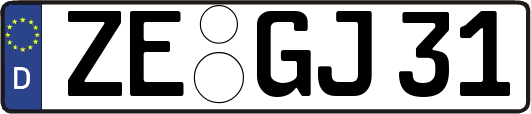 ZE-GJ31