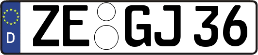 ZE-GJ36