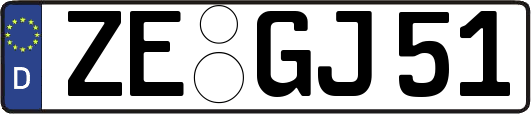 ZE-GJ51