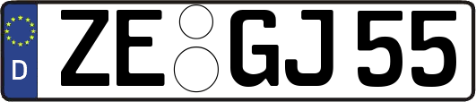 ZE-GJ55
