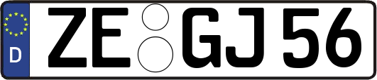 ZE-GJ56