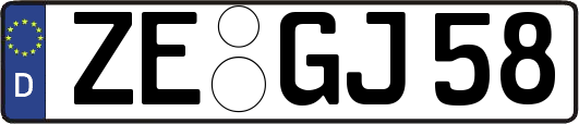 ZE-GJ58