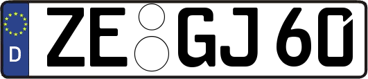 ZE-GJ60