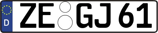 ZE-GJ61