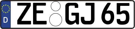 ZE-GJ65