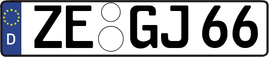 ZE-GJ66