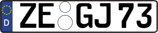 ZE-GJ73