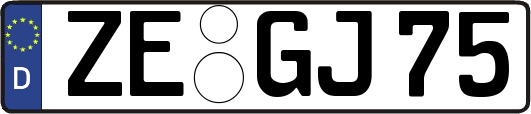 ZE-GJ75