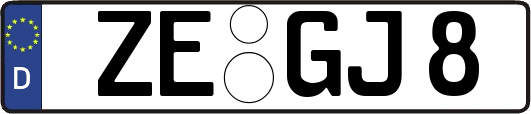 ZE-GJ8