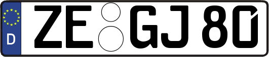 ZE-GJ80