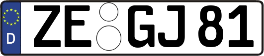 ZE-GJ81