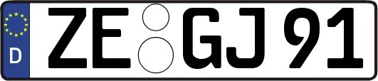 ZE-GJ91