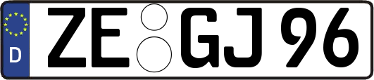ZE-GJ96