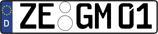 ZE-GM01