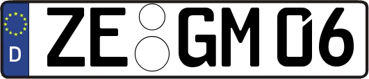ZE-GM06